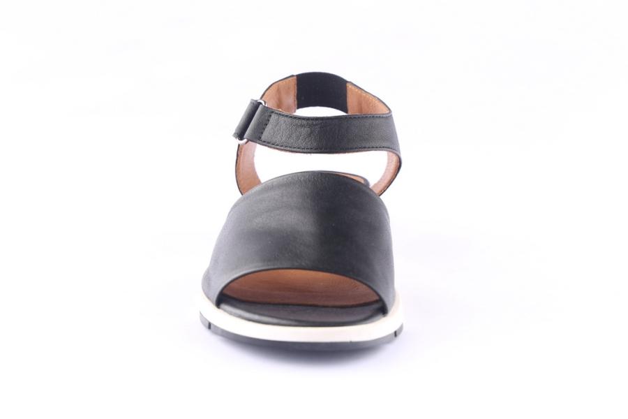 D.moro Shoes Women Leather Sandals For Summer: 20301 Black (Wholesale)