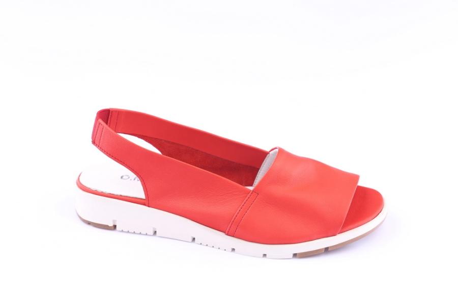 d.moro shoes Women Leather Sandals for summer: 21300 Red Leather (Wholesale)