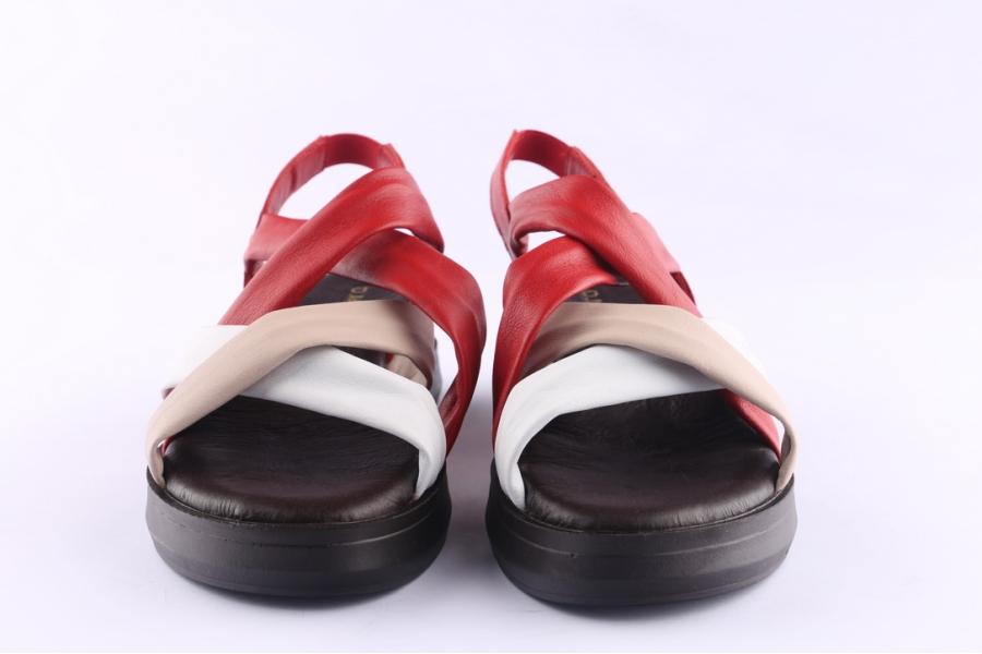 D.moro Shoes Women Leather Sandals For Summer: TAŞ-372 Mix Color (Wholesale)