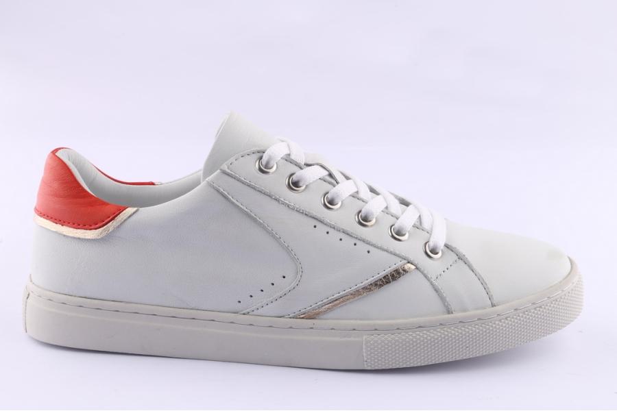 d.moro shoes Women Leather Sneakers for Summer: 192004 White (Wholesale)