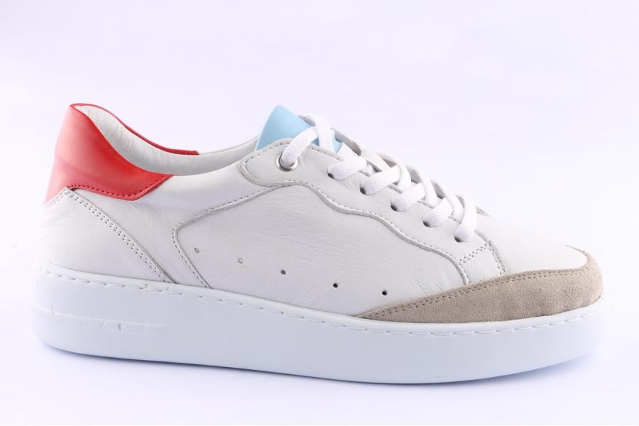 d.moro shoes Women Leather Sneakers for Summer: 601006 White (Wholesale)