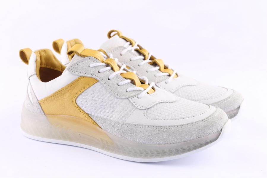 D.moro Shoes Women Leather Sneakers For Summer: C501 White (Wholesale)