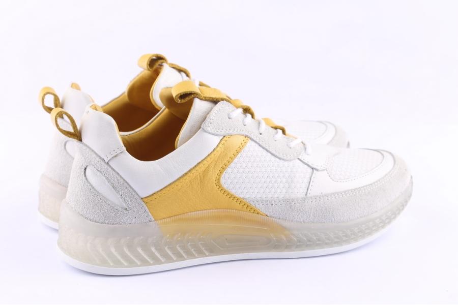 D.moro Shoes Women Leather Sneakers For Summer: C501 White (Wholesale)