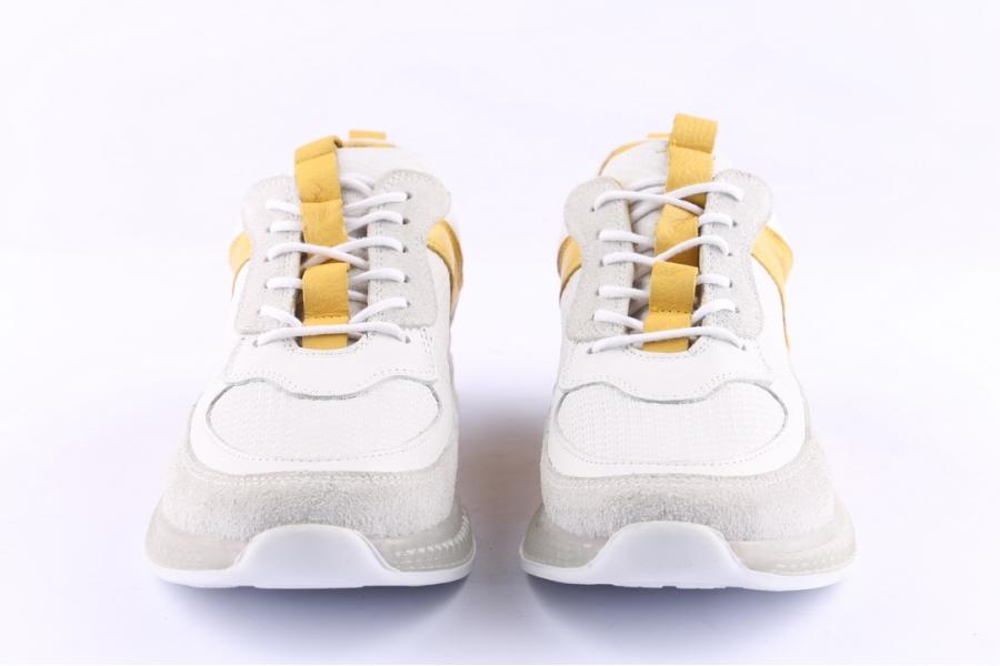 D.moro Shoes Women Leather Sneakers For Summer: C501 White (Wholesale)