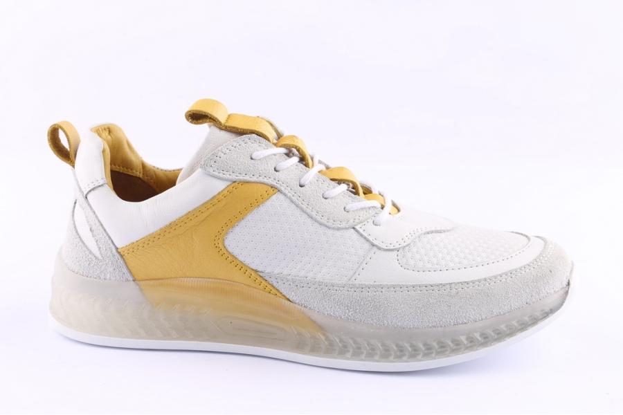 d.moro shoes Women Leather Sneakers for Summer: C501 White (Wholesale)