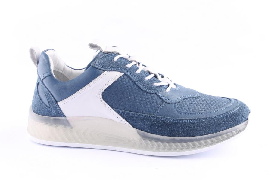 d.moro shoes Women Leather Sneakers for Summer: C501 Wishes (Wholesale)