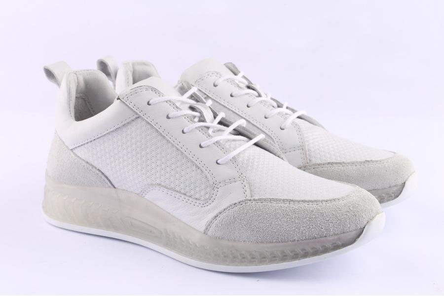 D.moro Shoes Women Leather Sneakers For Summer: C502 White (Wholesale)