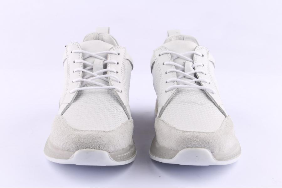 D.moro Shoes Women Leather Sneakers For Summer: C502 White (Wholesale)