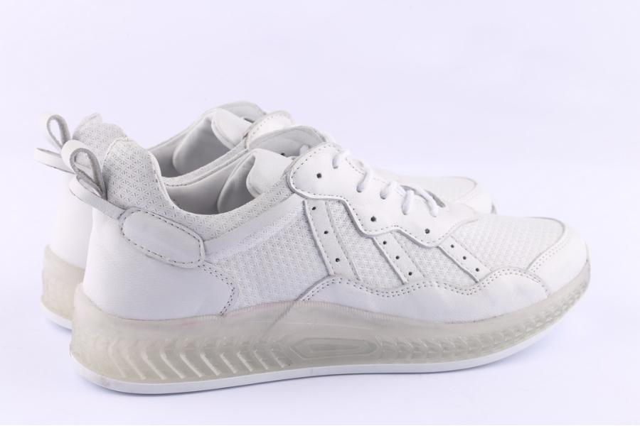 D.moro Shoes Women Leather Sneakers For Summer: C503 White (Wholesale)