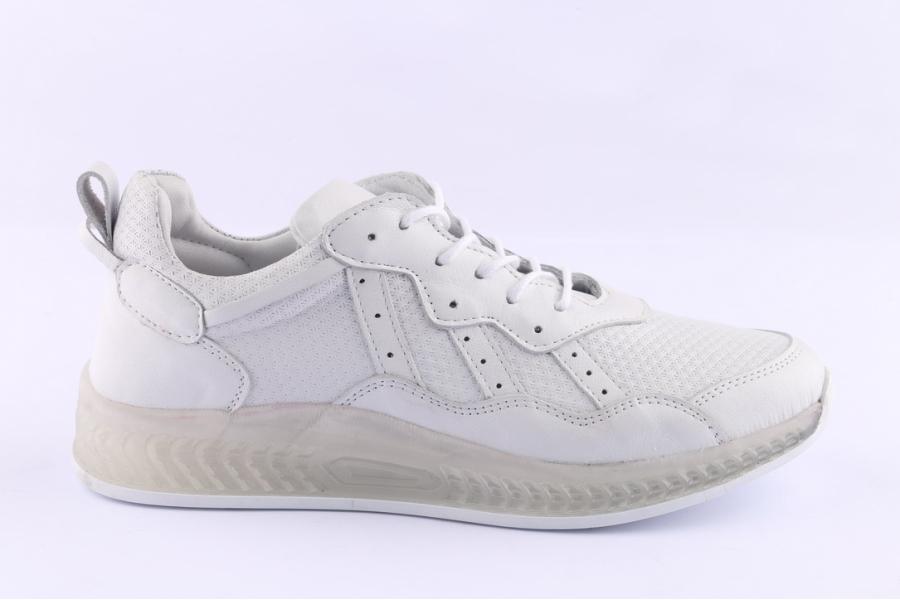 d.moro shoes Women Leather Sneakers for Summer: C503 White (Wholesale)