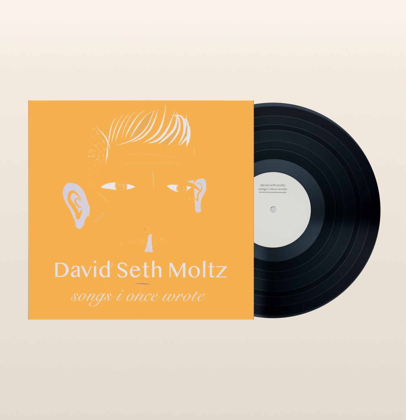 d.s. & durga 11 songs written & performed by our fumemaster David Seth Moltz. Fancy 33 RPM vinyl record with original artwork
