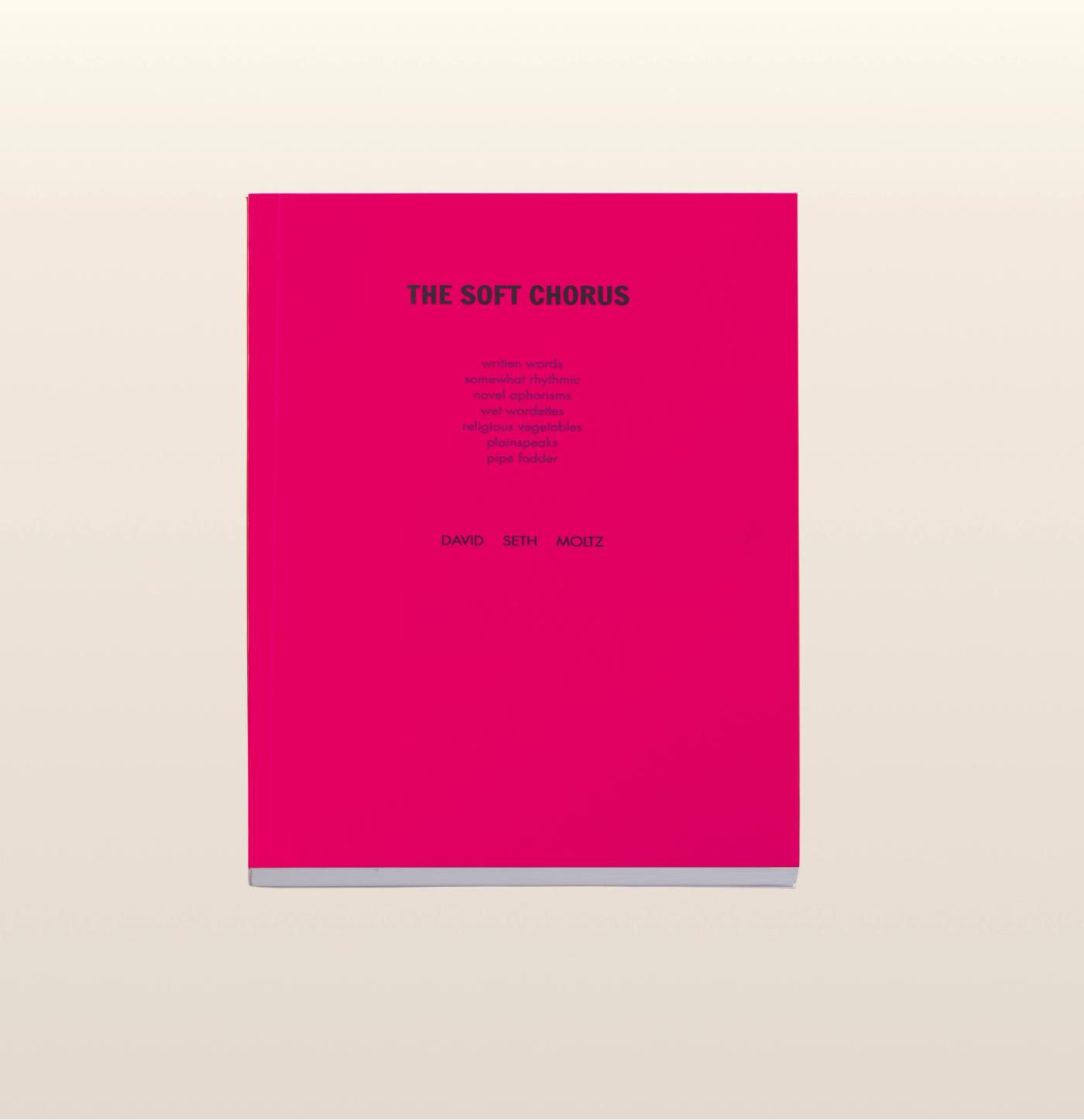 d.s. & durga Our fumemaster David's 3rd poetry book full of far away fantasy & fine flowery flows. Printed on nice paper with original full color artwork