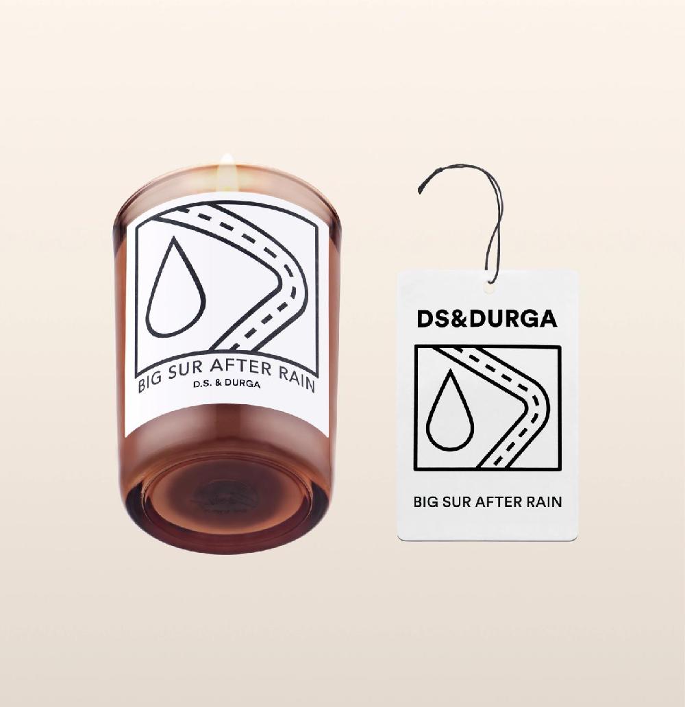 d.s. & durga Rain water in eucalyptus groves off Highway 1. Young green shoots long spears russet underbrush