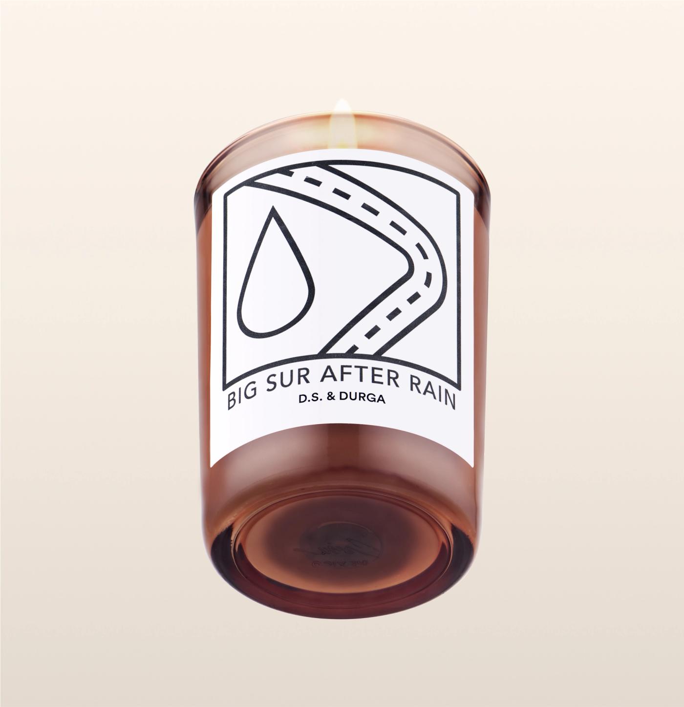 d.s. & durga Rain water in eucalyptus groves off Highway 1. Young green shoots long spears russet underbrush