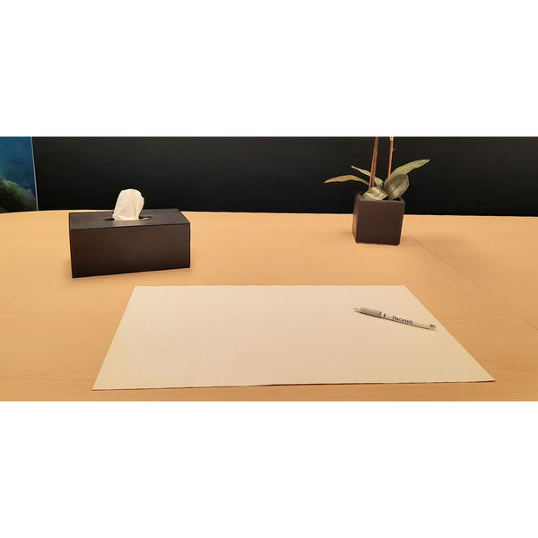 Dacasso Pearl White 22" X 14" Authentic Blotter Paper Pack (5pk)