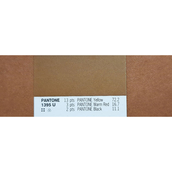 Dacasso Warm Tan Brown 22" X 14" Blotter Paper Pack (5pk)