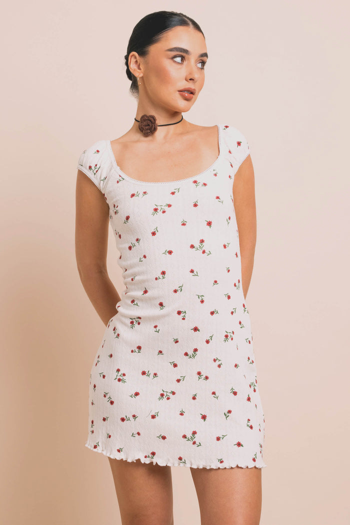 daisy street Daisy Street Ditsy Pointelle Mini Dress