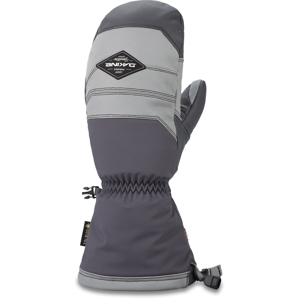 Dakine Team Excursion GORE-TEX Mitt - Louif Paradis