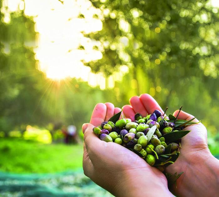 Dalan D'olive Dalan D'Olive Reparative Intensive Care Cream