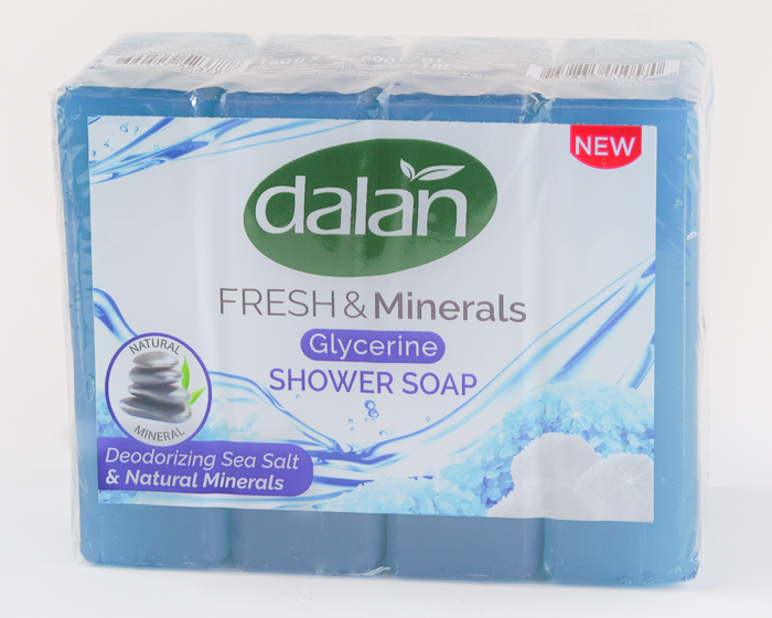 dalan d'olive Dalan Fresh & Minerals Sea Salt & Natural Minerals Soap
