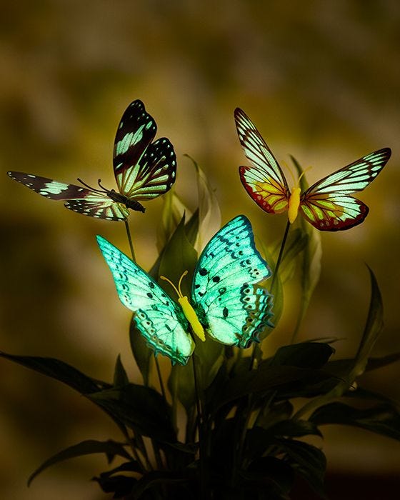 damart Glow in the Dark Butterflies