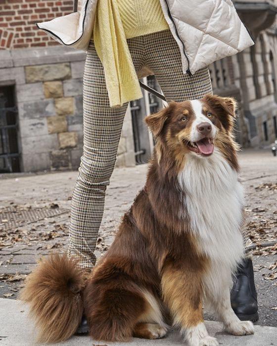 Damart Pull-on Knitted Trousers