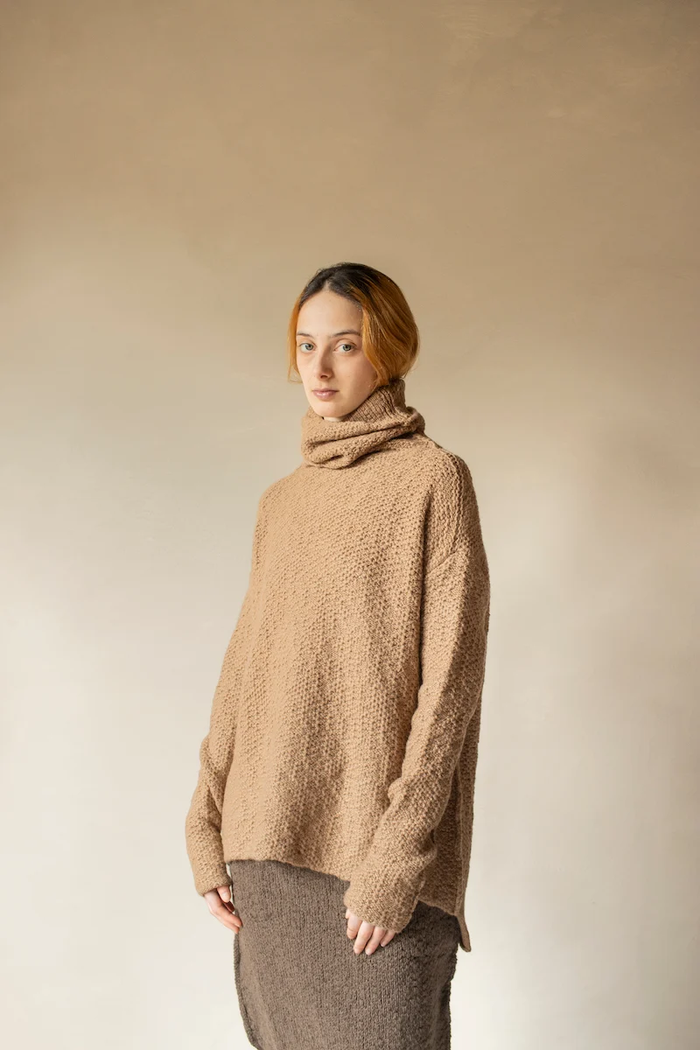 daniel andresen Cicely Turtle pullover