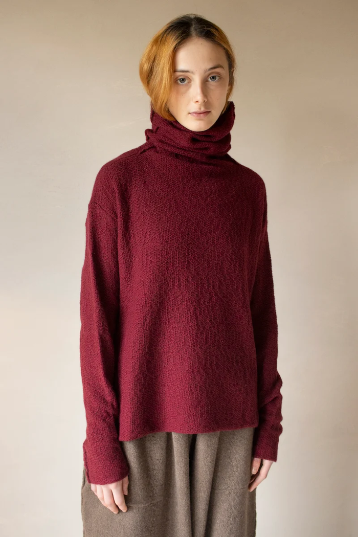 daniel andresen Lemon Turtle pullover