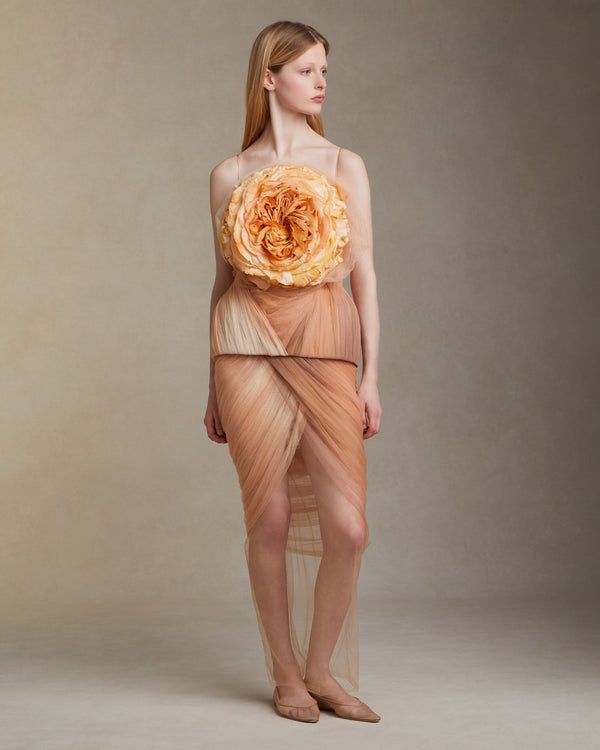Danielle Frankel Anita TOP APRICOT