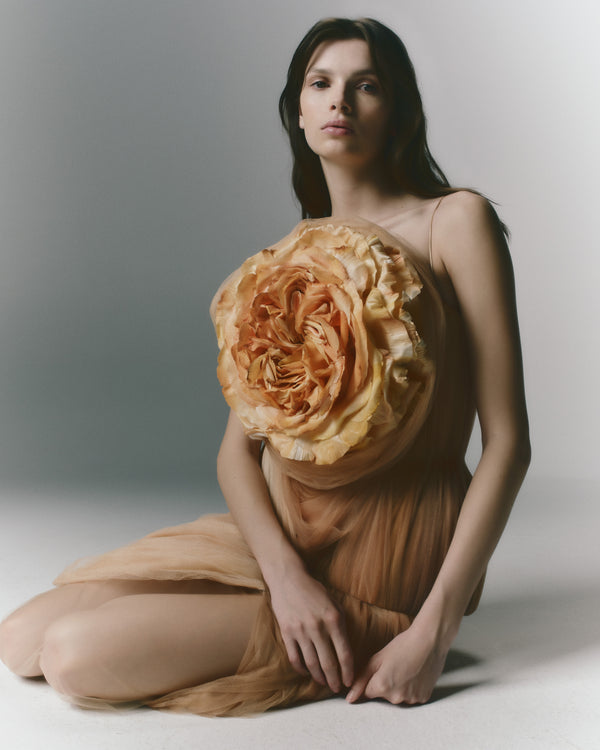 Danielle Frankel Anita TOP APRICOT