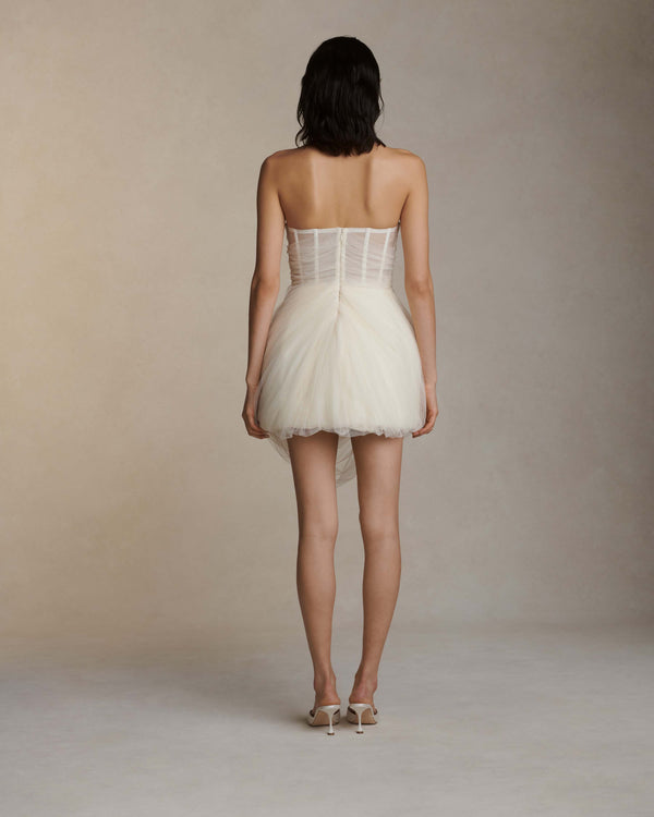 Danielle Frankel Bernie IVORY