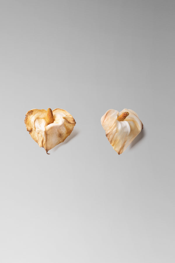 Danielle Frankel Calla Lily Earrings CUSTOM