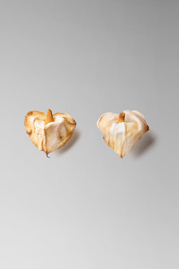 danielle frankel Calla Lily Earrings CUSTOM