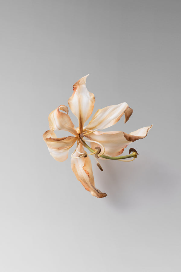 Danielle Frankel Lily Brooch CUSTOM