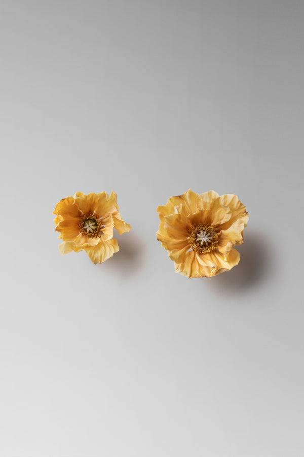 danielle frankel Poppy Earrings CUSTOM