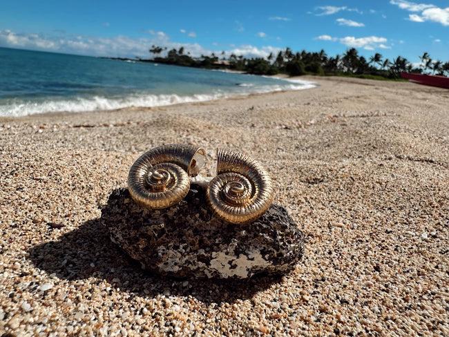 dannijo Viva Earrings