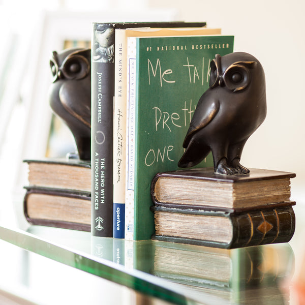 Danya B Owl On Books Bookend Set
