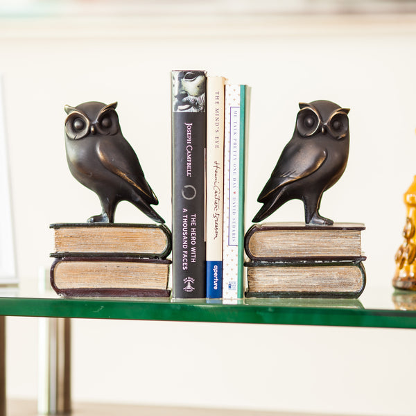 danya b Owl on Books Bookend Set
