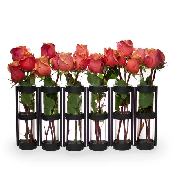 Danya B Six Wide Tube Hinged Vases