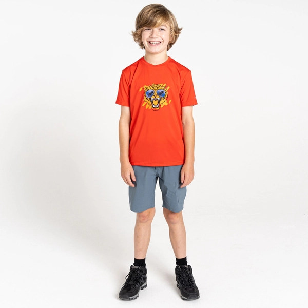 dare 2b Kids' Amuse II T-Shirt | Seville Red