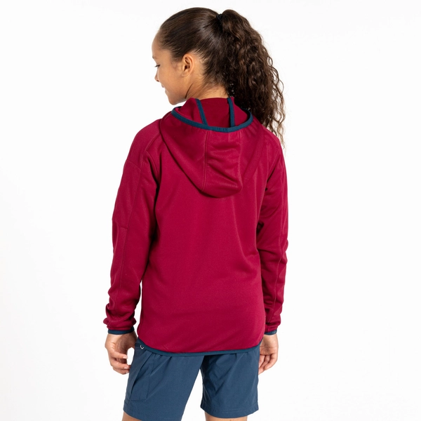 Dare 2b Kids' Explore Fleece | Beetroot