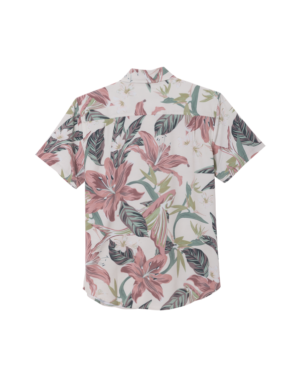 Dark Seas Ritter SS Shirt ANTIQUE