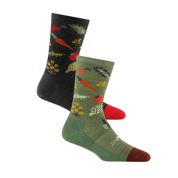 darn tough Women's Lightweight Lifestyle 2-Pack