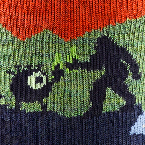 Darn Tough Men’s Close Encounter Micro Crew Hiking 2-Pack