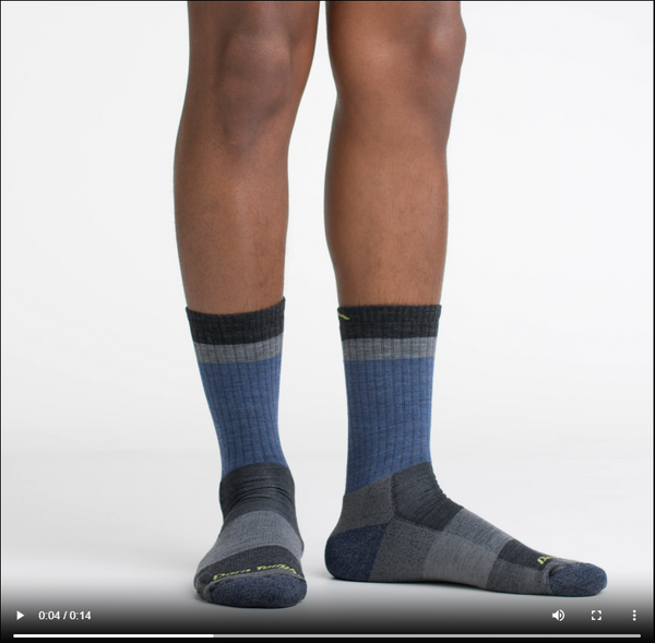 Darn Tough Men's Heady Stripe Micro Crew Lightweight Hiking Socks