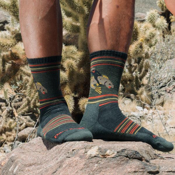 Darn Tough Men's Limited Edition Willoughby Micro Crew Lightweight Hiking Sock
