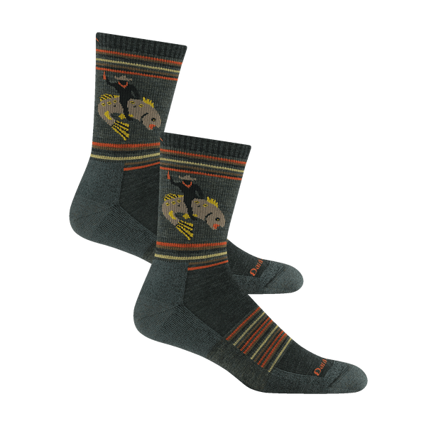 darn tough Men’s Willoughby Micro Crew Hiking 2-Pack