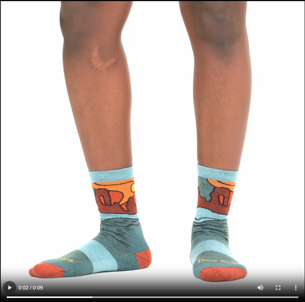 Darn Tough Women's Celeste Micro Crew Midweight Hiking Socks