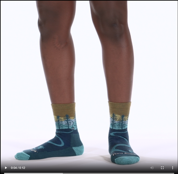 Darn Tough Women's Northwoods Micro Crew Midweight Hiking Socks