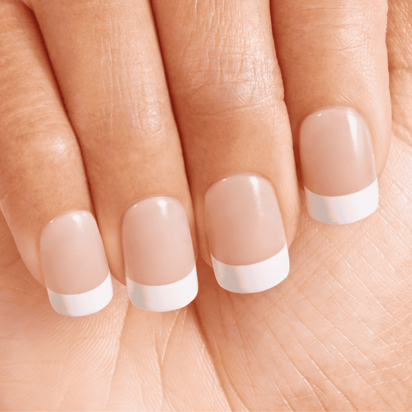 Dashing Diva Homecoming Magic Press Design